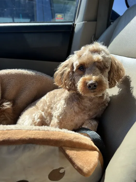 Animal Care Clinic-Monadnock Picture 8