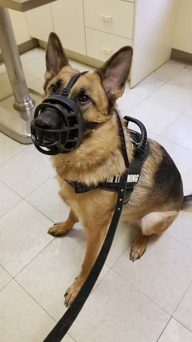 Animal Care Clinic-Monadnock Picture 7