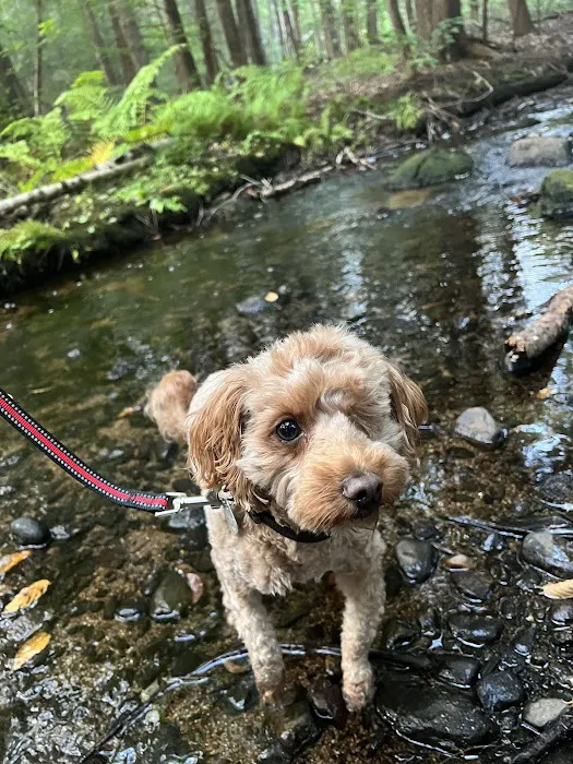 Animal Care Clinic-Monadnock Picture 10