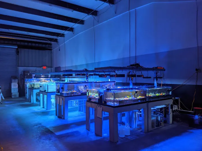 The Coral Zoo Picture 2