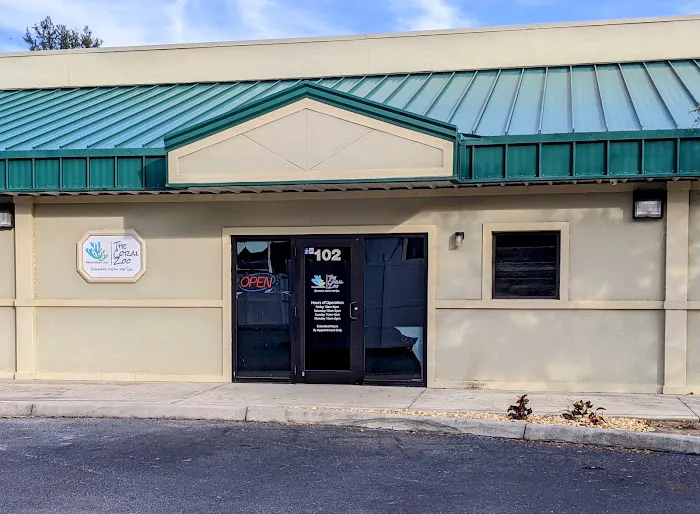 The Coral Zoo Picture 3