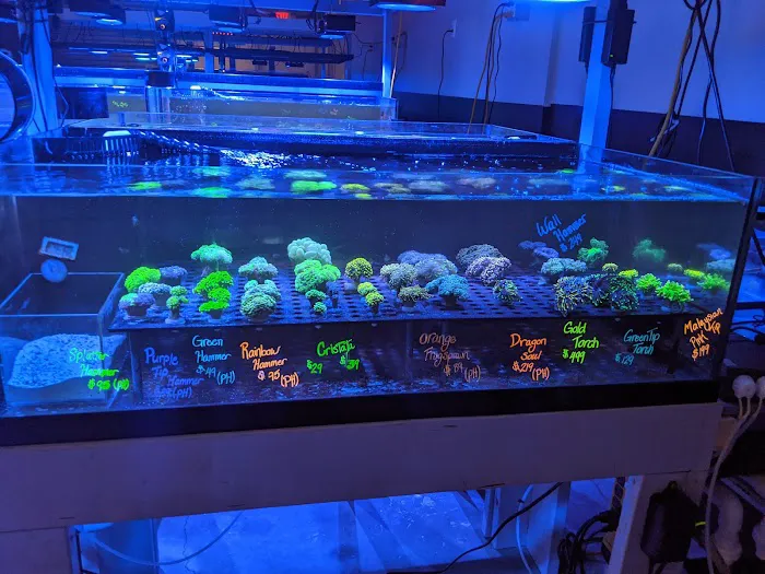 The Coral Zoo Picture 4