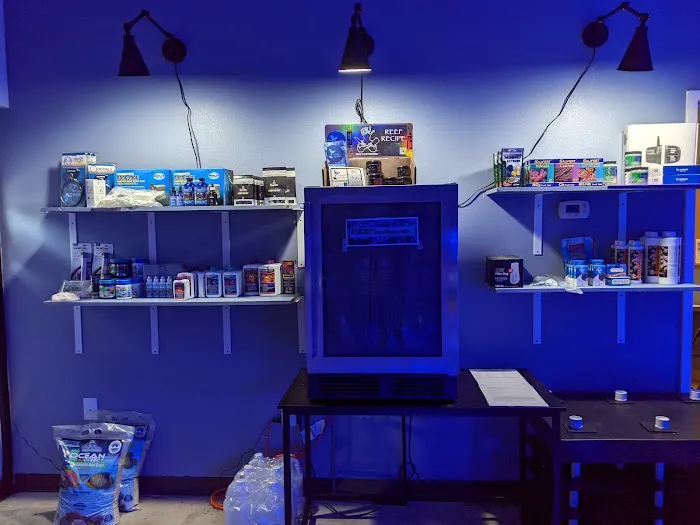 The Coral Zoo Picture 5