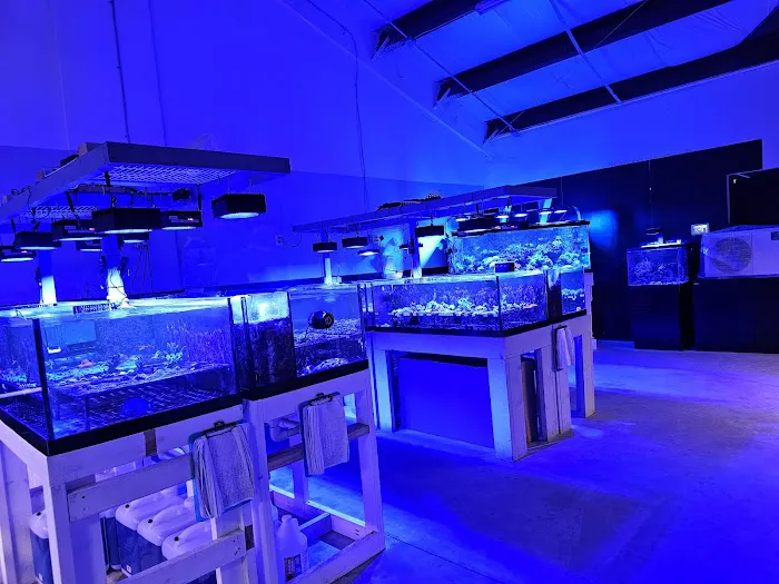 The Coral Zoo Picture 8