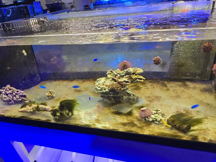 The Coral Zoo Picture 10