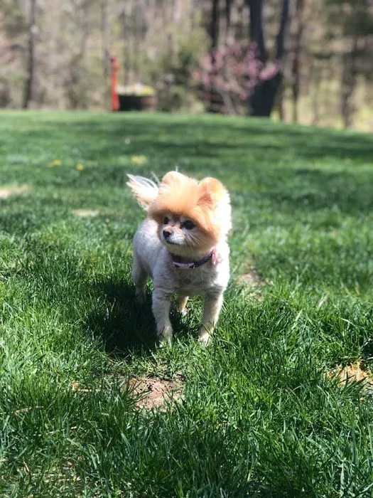 Private Roots Veterinary PLLC Picture 3