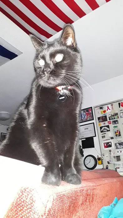 Private Roots Veterinary PLLC Picture 6