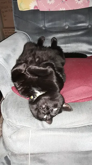 Private Roots Veterinary PLLC Picture 4