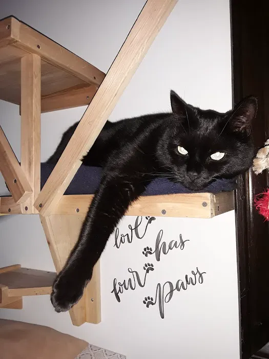 Private Roots Veterinary PLLC Picture 1