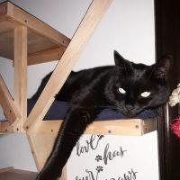 Private Roots Veterinary PLLC ico