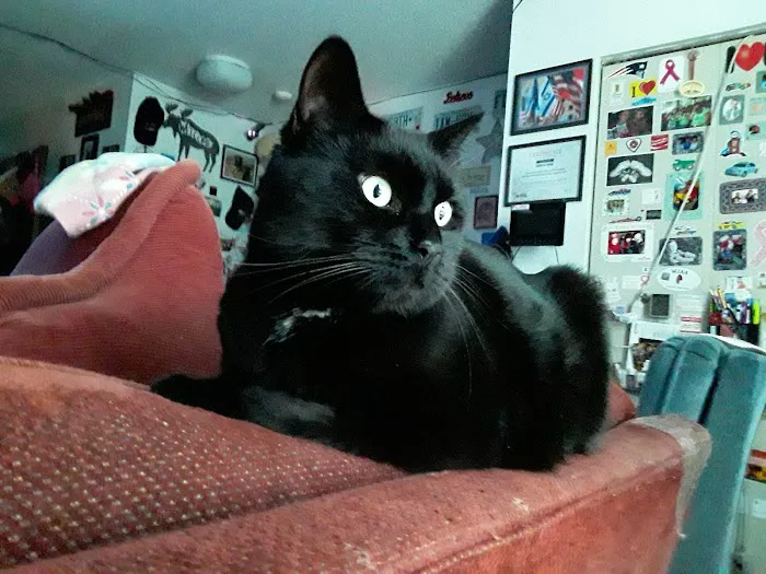 Private Roots Veterinary PLLC Picture 5