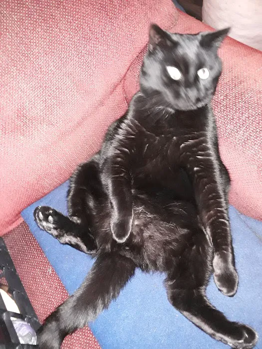 Private Roots Veterinary PLLC Picture 8