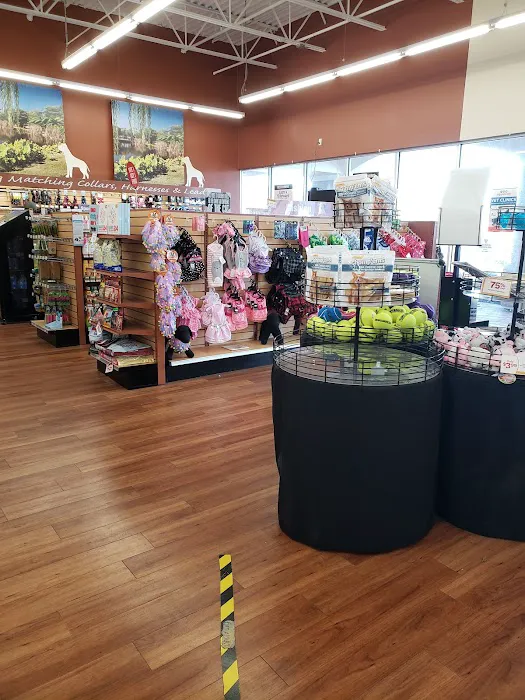 Pet Supermarket Picture 1