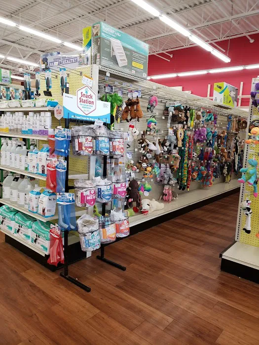 Pet Supermarket Picture 8
