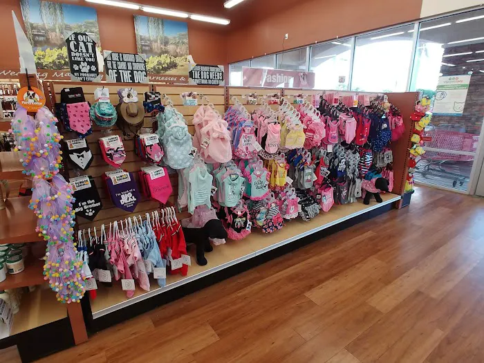 Pet Supermarket Picture 6