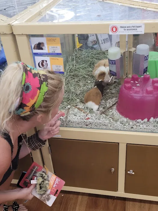 Pet Supermarket Picture 7