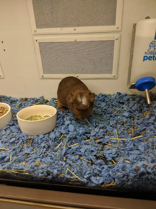 Petco Picture 8