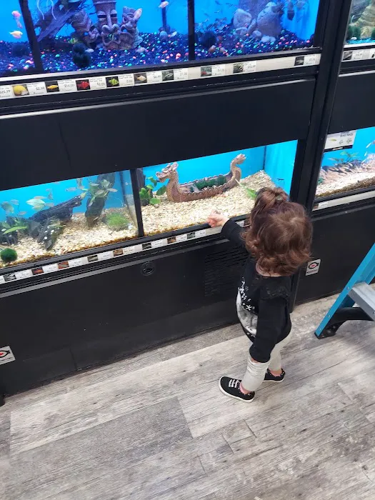 Pet Supermarket Picture 2