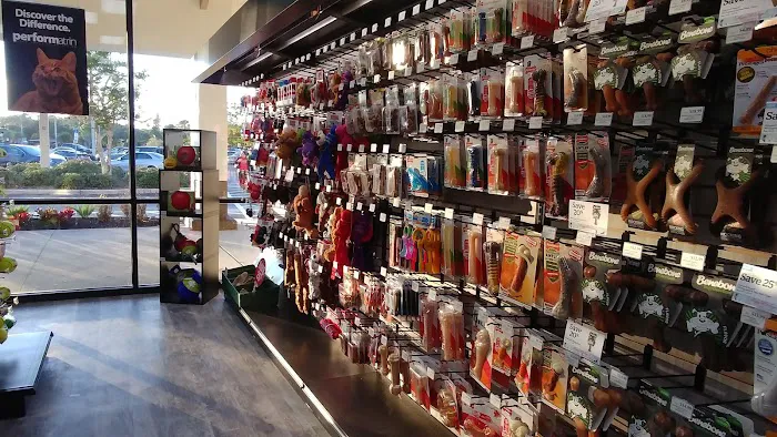 Pet Supermarket Picture 3