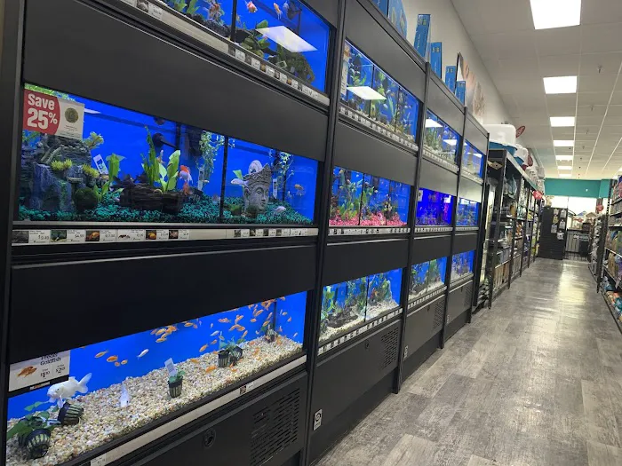 Pet Supermarket Picture 6