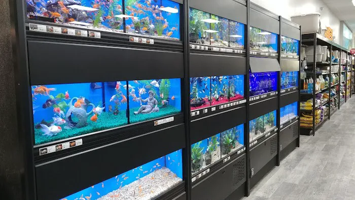 Pet Supermarket Picture 10
