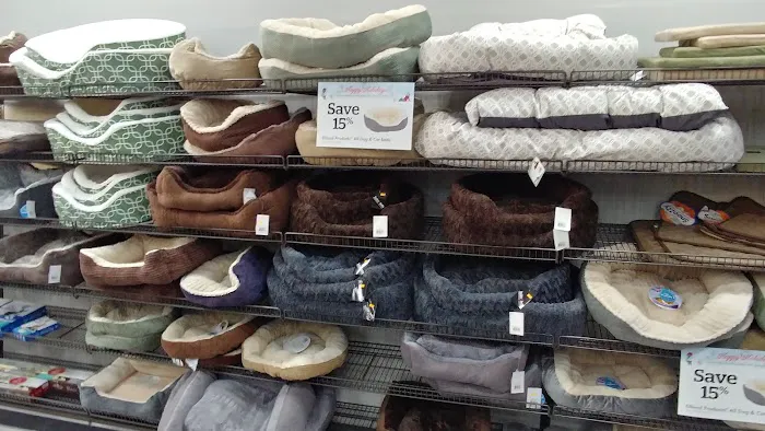 Pet Supermarket Picture 9