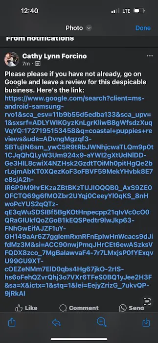 Coastal Puppies Picture 1