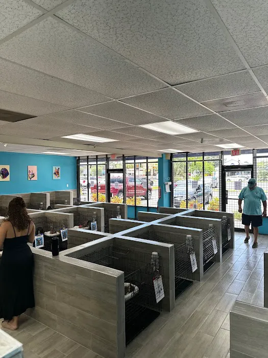 Coastal Puppies Picture 3