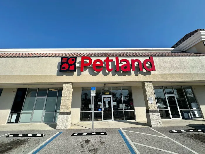 Petland Bradenton Picture 1
