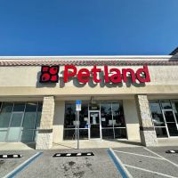 Petland Bradenton ico