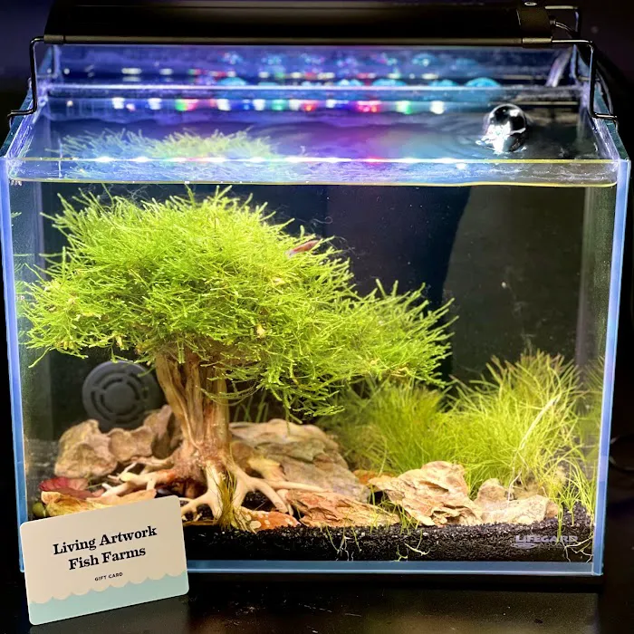 Fantastic Fish & Aquariums Picture 1