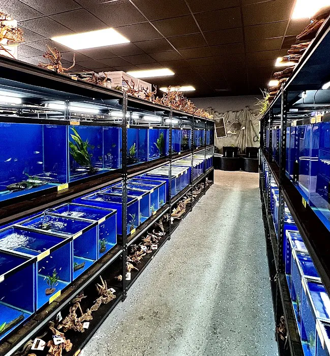 Fantastic Fish & Aquariums Picture 2