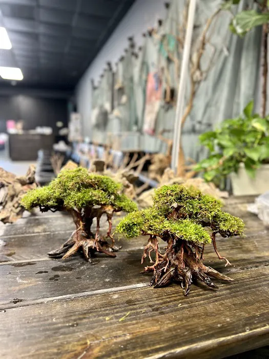 Fantastic Fish & Aquariums Picture 5