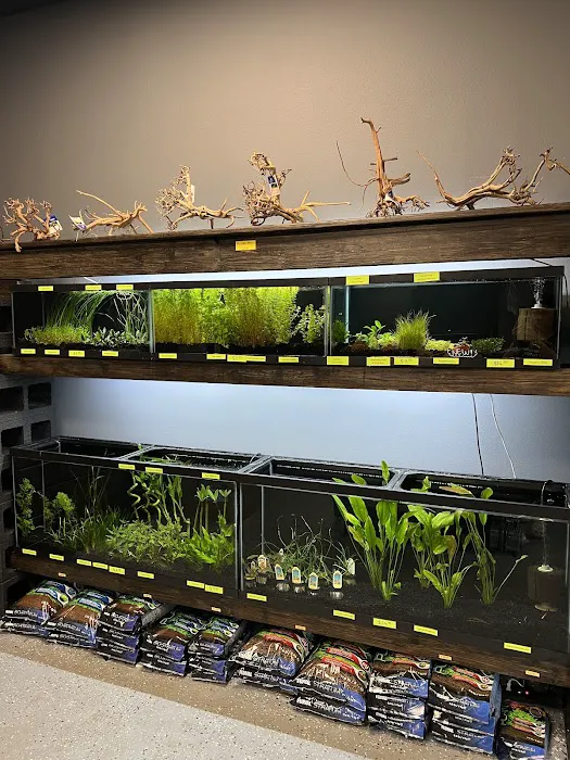 Fantastic Fish & Aquariums Picture 8