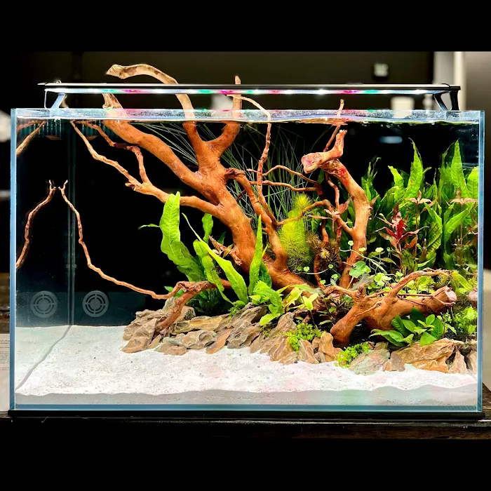 Fantastic Fish & Aquariums Picture 10