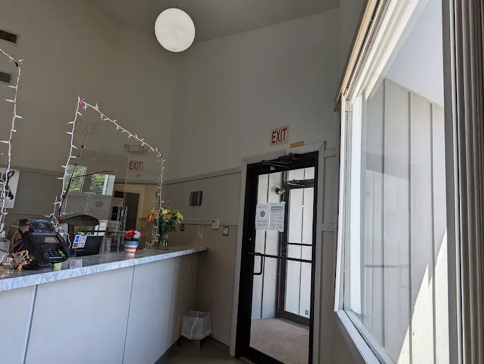 Norwood Animal Hospital, A Thrive Pet Healthcare Partner Picture 2