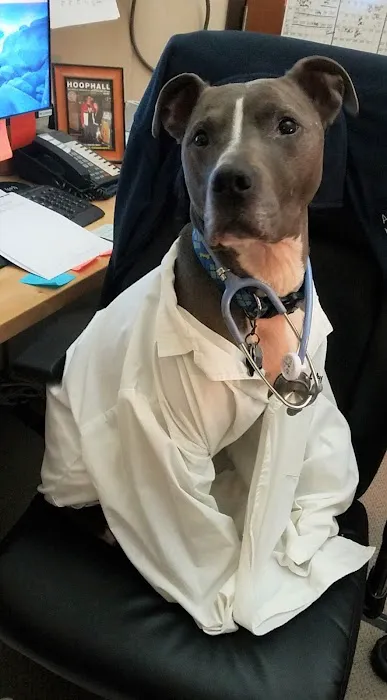 Norwood Animal Hospital, A Thrive Pet Healthcare Partner Picture 3