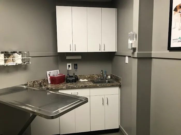 Norwood Animal Hospital, A Thrive Pet Healthcare Partner Picture 1