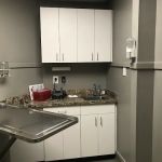 Norwood Animal Hospital, A Thrive Pet Healthcare Partner