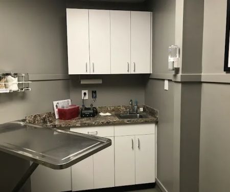 Norwood Animal Hospital, A Thrive Pet Healthcare Partner