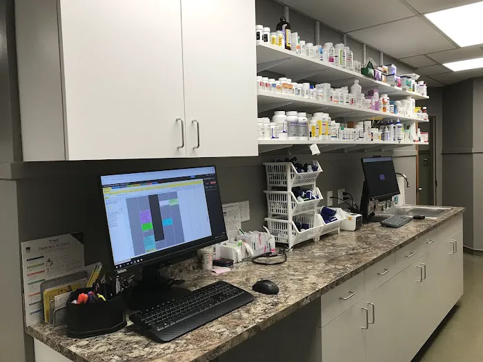 Norwood Animal Hospital, A Thrive Pet Healthcare Partner Picture 4