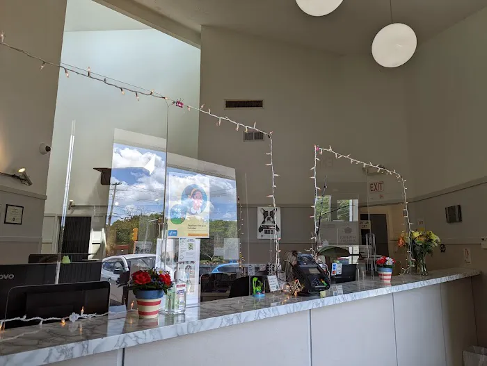 Norwood Animal Hospital, A Thrive Pet Healthcare Partner Picture 7