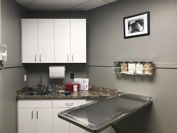 Norwood Animal Hospital, A Thrive Pet Healthcare Partner Picture 9