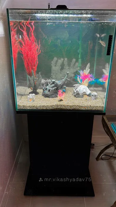 Atlantis Coral and Fish Picture 1