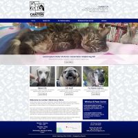 Canton Veterinary Clinic ico