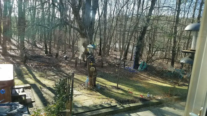 Canton Veterinary Clinic Picture 2