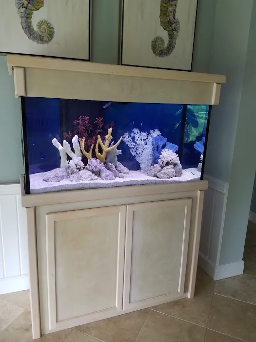 The Fish Guy Aquarium Services, LLC Picture 5