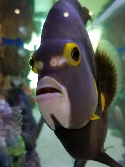 The Fish Guy Aquarium Services, LLC Picture 4