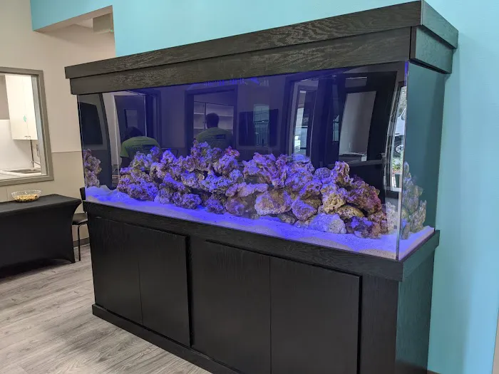 The Fish Guy Aquarium Services, LLC Picture 10