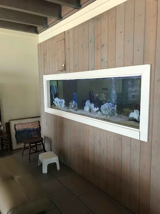 The Fish Guy Aquarium Services, LLC Picture 9